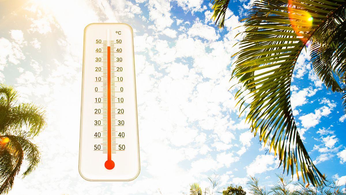 heatwave-in-india-things-that-happen-to-your-body-when-mercury-rises-to-45-degrees