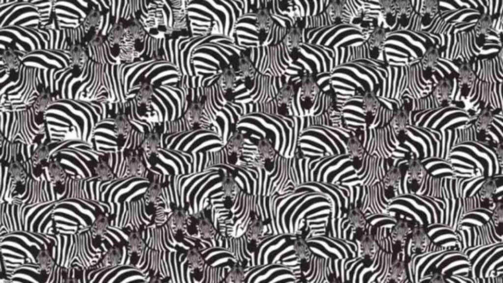 Optical illusion: there is a hidden piano in the image.  Can you find it in 10 seconds?