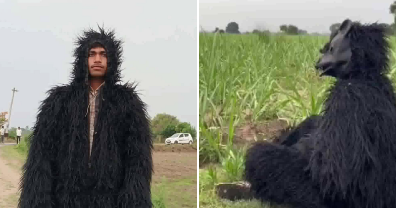 Viral: Uttar Pradesh farmers dress up as bears to protect crops from monkeys
