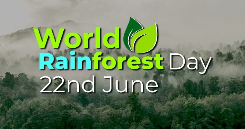 World Rainforest Day 2023: Rainforest Day date, theme, history, quotes and slogans to share