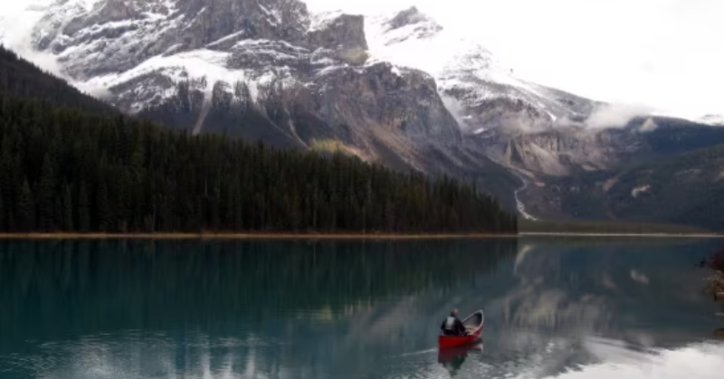 Canada: Whirling Disease Forces Closure Of Yoho And Kootenay National Parks