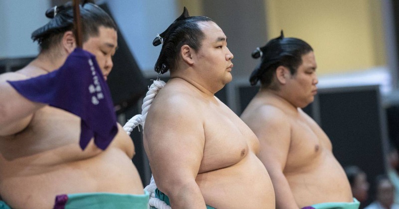 Japanese Airline Books Extra Plane For Sumo Wrestlers After Aircraft Becomes 'Too Heavy' To Fly