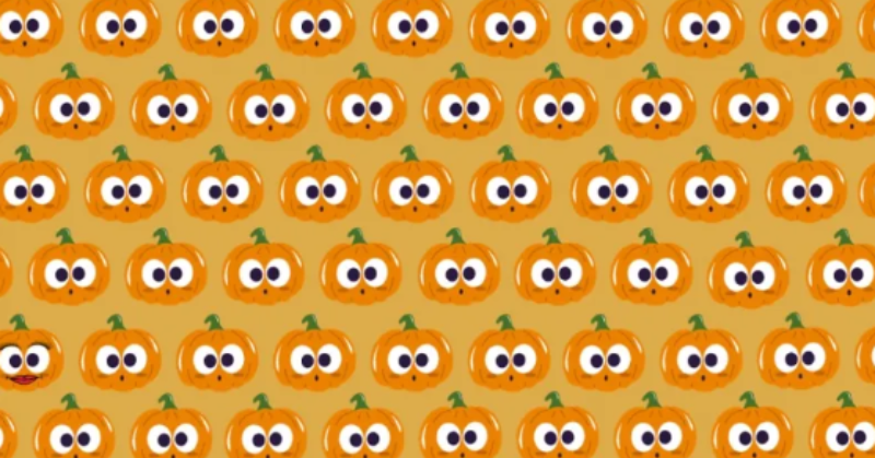 See If You Can Find The Glamorous Pumpkin Among The Normal Ones In This Viral Optical Illusion