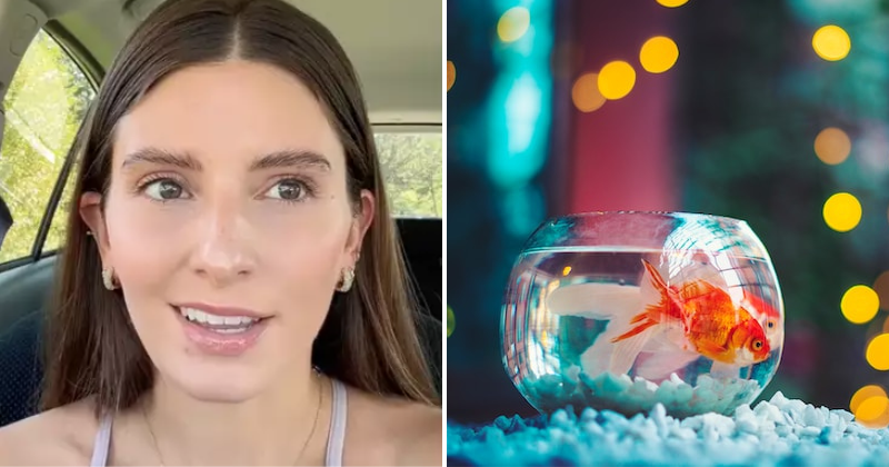 Tiktok User Claims She Has 'Goldfish Brain,' Internet Panics About Weird Theory On Human Memory