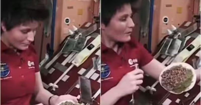 Watch: Astronaut Makes One-of-a-kind 'Space Tortilla' Aboard The International Space Station