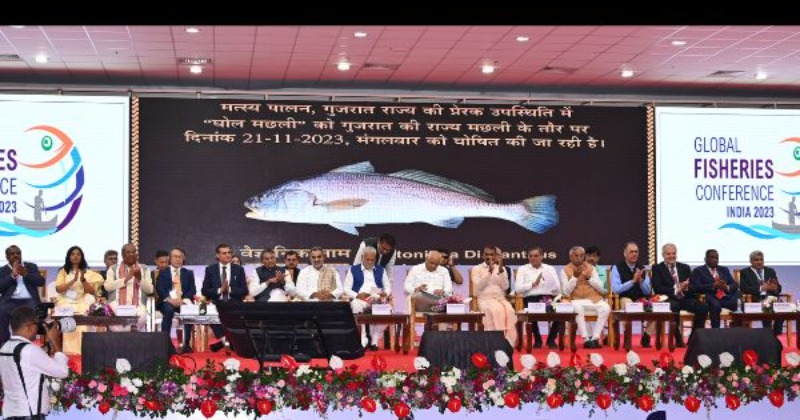 Not Gold, Just Ghol! This Aquatic Creature Is Now The Official State Fish Of Gujarat & It Costs More Than A Car