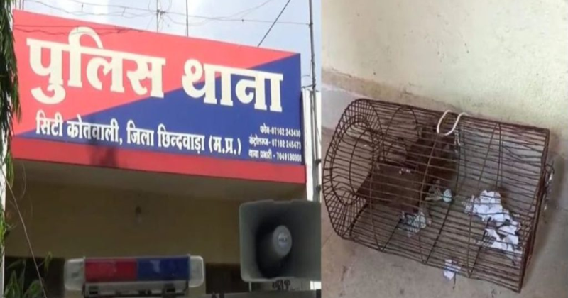 Rodent Revelry: Rats Feast On Confiscated Liquor At Madhya Pradesh Police Station